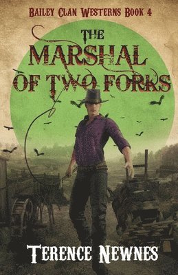 bokomslag Marshal of Two Forks