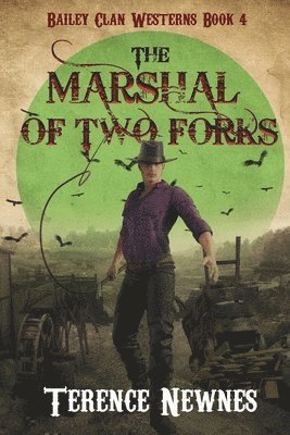 bokomslag Marshal of Two Forks