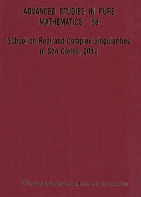 AL RAIMUNDO NONATO ARAUUJO DOS SANTOS ET, Raimundo Nonato Araúujo dos Santos, Victor Hugo Jorge Pérez, Takashi Nishimura, Osamu Saeki - SCHOOL ON REAL AND COMPLEX SINGULARITIES IN SAO CARLOS, 2012, Inbunden