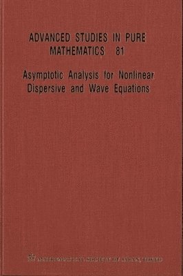 Asymptotic Analysis For Nonlinear Dispersive And Wave Equations - Proceedings Of The International Conference