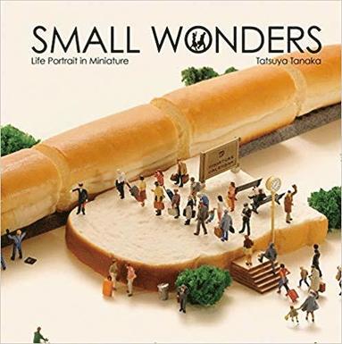 bokomslag Small Wonders