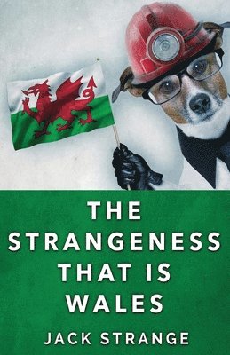 bokomslag Strangeness That Is Wales