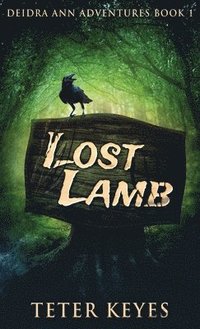 bokomslag Lost Lamb