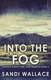 bokomslag Into The Fog