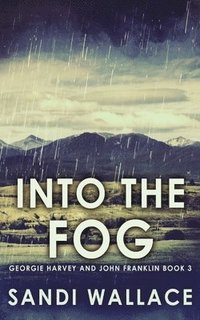 bokomslag Into The Fog