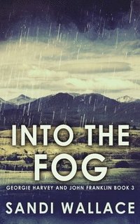 bokomslag Into The Fog