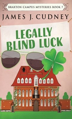 bokomslag Legally Blind Luck