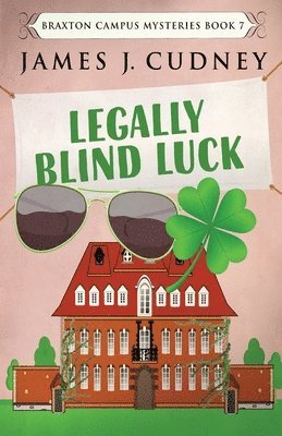 bokomslag Legally Blind Luck