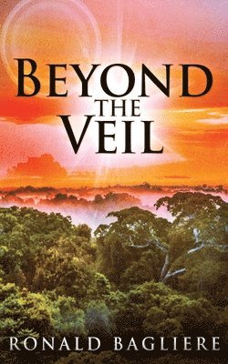 Beyond the Veil 1