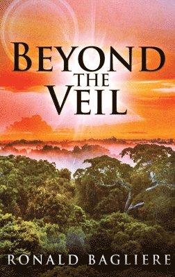 Beyond the Veil 1