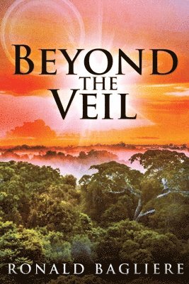 Beyond the Veil 1