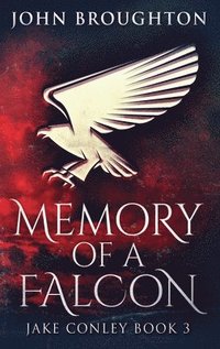 bokomslag Memory Of A Falcon