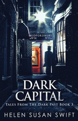 bokomslag Dark Capital