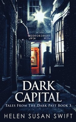 bokomslag Dark Capital