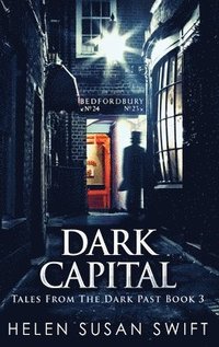 bokomslag Dark Capital