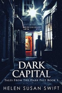 bokomslag Dark Capital