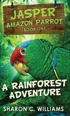 A Rainforest Adventure 1