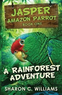 bokomslag A Rainforest Adventure