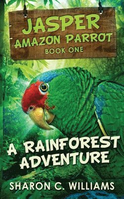 A Rainforest Adventure 1