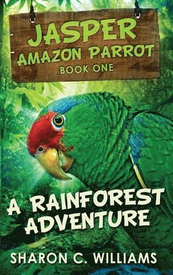 A Rainforest Adventure 1