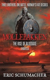 bokomslag Mollebakken - A Viking Age Novella