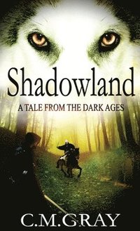 bokomslag Shadowland