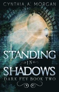 bokomslag Standing in Shadows