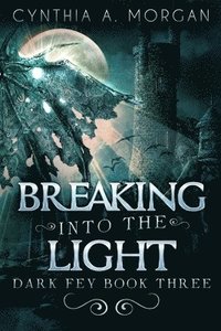 bokomslag Breaking Into The Light
