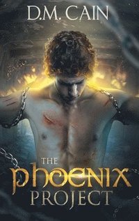 bokomslag Phoenix Project