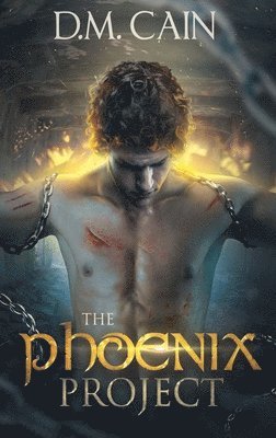 bokomslag Phoenix Project