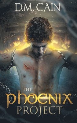 The Phoenix Project 1