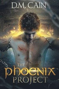 bokomslag Phoenix Project