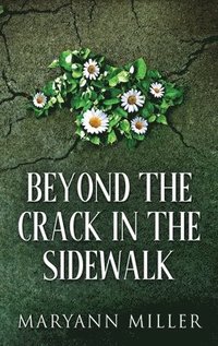bokomslag Beyond The Crack In The Sidewalk