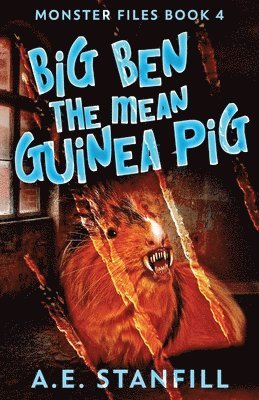 Big Ben The Mean Guinea Pig 1