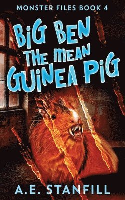 Big Ben The Mean Guinea Pig 1