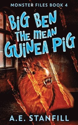 Big Ben The Mean Guinea Pig