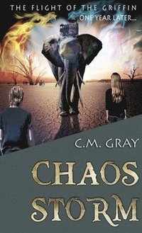 bokomslag Chaos Storm