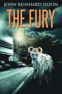 bokomslag Fury