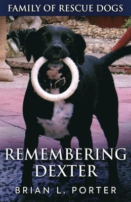 bokomslag Remembering Dexter