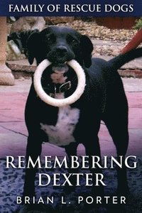 bokomslag Remembering Dexter