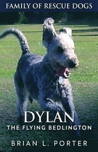 bokomslag Dylan - The Flying Bedlington