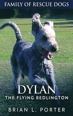 Dylan - The Flying Bedlington 1