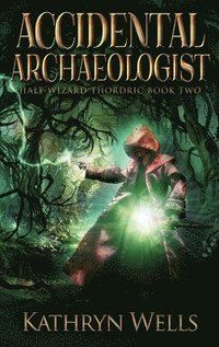 bokomslag Accidental Archaeologist