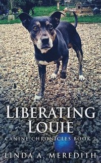 bokomslag Liberating Louie