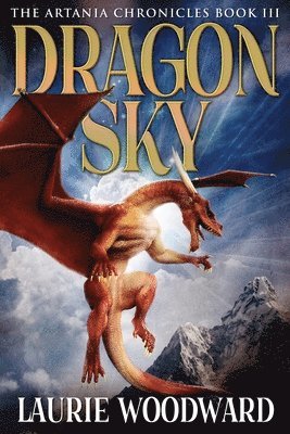 bokomslag Dragon Sky