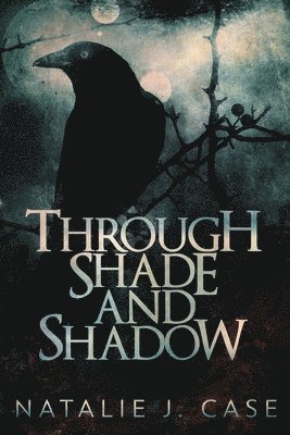 Through Shade And Shadow 1