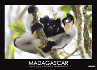 bokomslag Madagascar