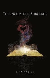bokomslag The Incomplete Sorcerer