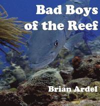 bokomslag Bad Boys of the Reef