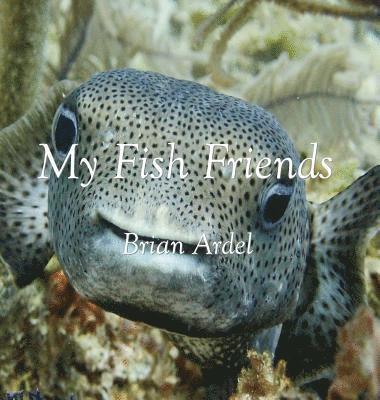 My Fish Friends 1